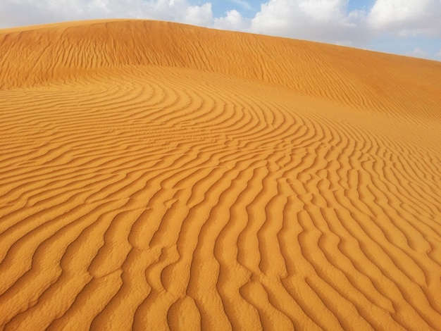 Dunas de areia no deserto