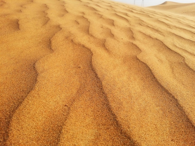 Dunas de areia no deserto