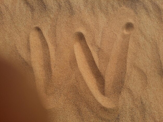 Dunas de areia no deserto