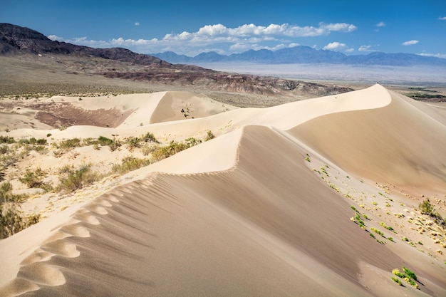 Dunas de areia no deserto