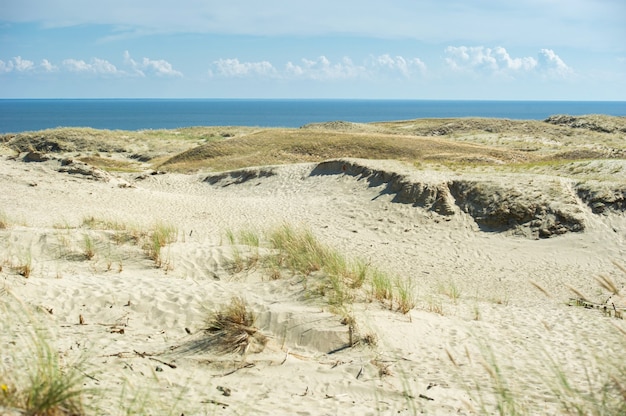 Dunas de areia no espeto da Curlândia perto da cidade de Nida. Klaipeda, Lituânia.