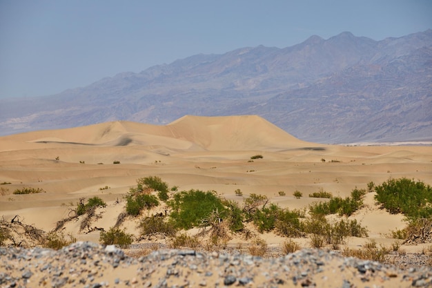 Dunas de areia no Vale da Morte cercadas por montanhas