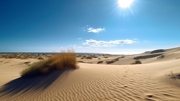 dunas de areia rolando na distância