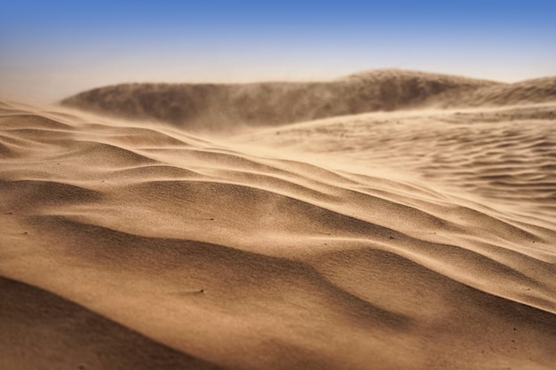 Dunas de areia solitárias em um vento forte sob o céu contra o fundo de um deserto árido