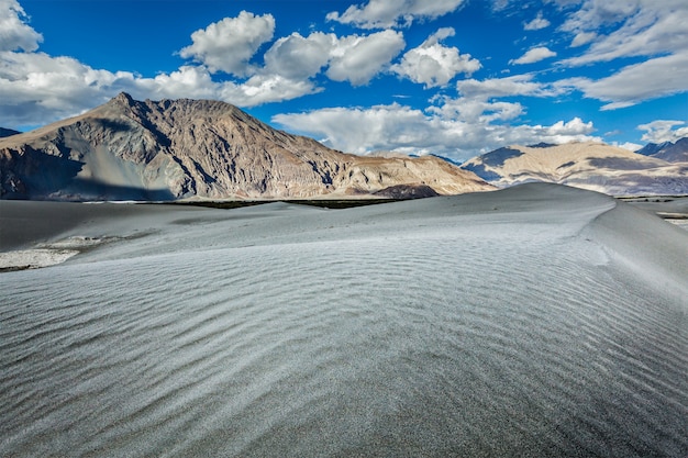 Dunas de areia. vale de nubra, ladakh, índia