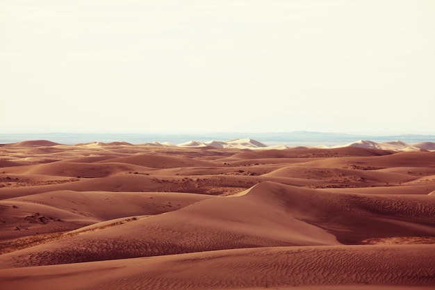 Dunas del desierto de Gobi