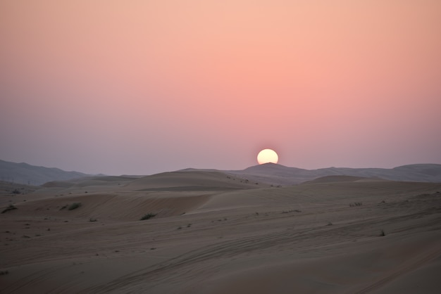 Dunas del desierto en Liwa, Emiratos Árabes Unidos