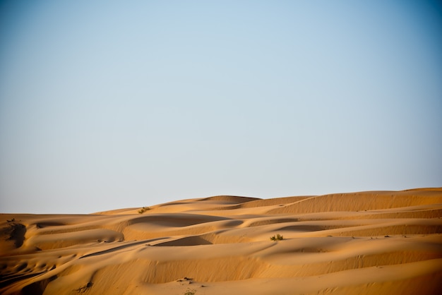 Dunas del desierto en Liwa, Emiratos Árabes Unidos