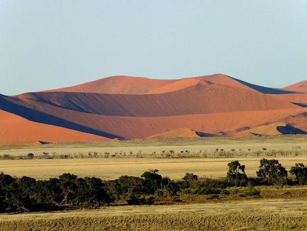 Dunas en el desierto de Namib Sossusvlei Namibia