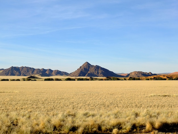 Dunas en el desierto de Namib, Sossusvlei, Namibia