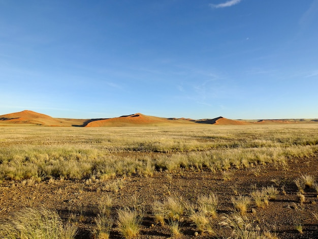 Dunas en el desierto de Namib, Sossusvlei, Namibia