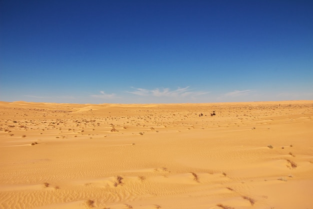 Dunas en el desierto del Sahara en el corazón de África