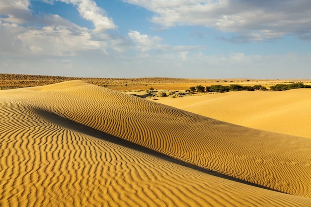 Dunas del desierto de Thar, Rajasthan, India