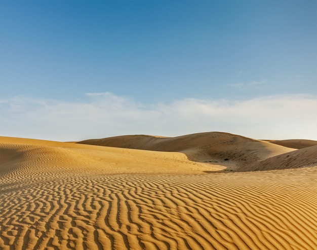 Dunas del desierto de Thar, Rajasthan, India