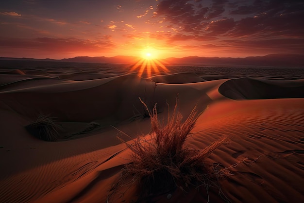 Dunas del desierto con vistas al brillante cielo del atardecer