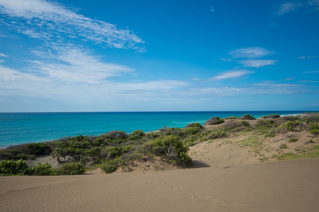 Dunas del desierto