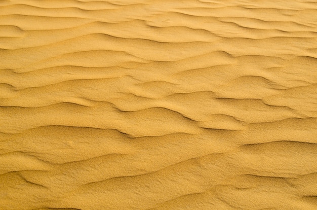 dunas del desierto