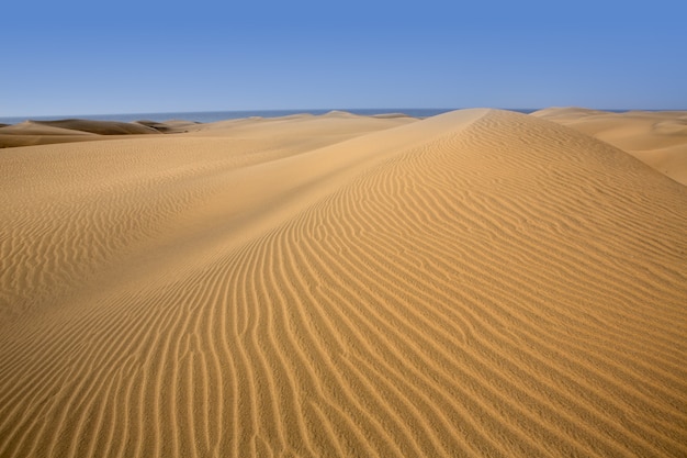 Dunas do deserto de areia em Maspalomas Gran Canaria