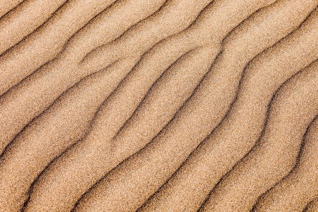 Dunas do deserto de huacachina