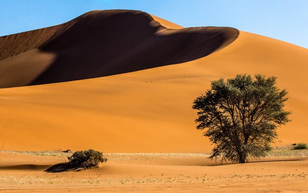 Dunas do deserto de Sossusvlei, África