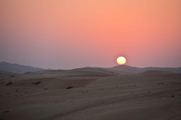 Dunas do deserto em Liwa, Emirados Árabes Unidos