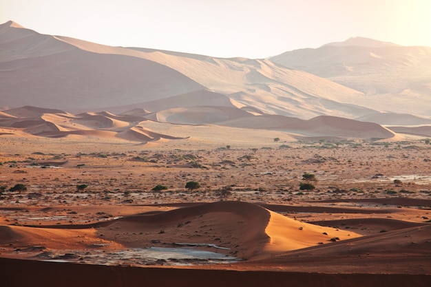 Dunas e acácias mortas no deserto do Namibe, Dead Vlei, Sossusvlei, Namíbia, África. Destino turístico famoso