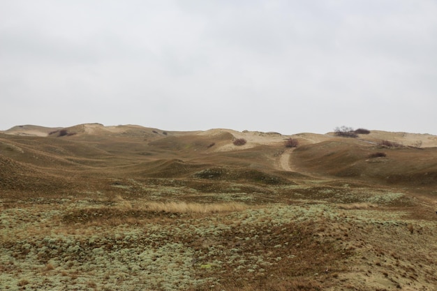 Dunas de invierno de la costa del mar Báltico