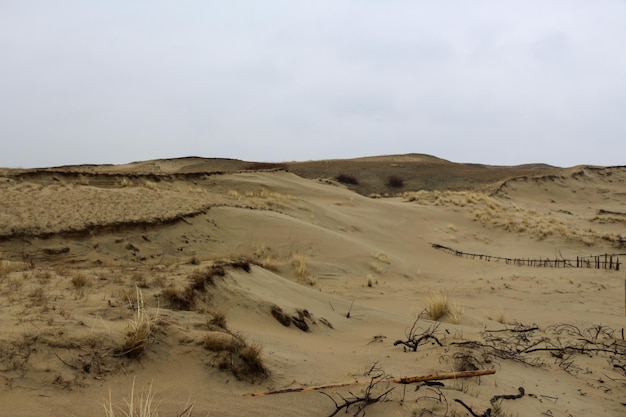 Dunas de invierno de la costa del mar Báltico