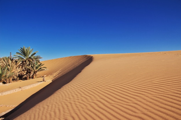 Dunas na cidade abandonada Timimun no deserto do Saara, Argélia