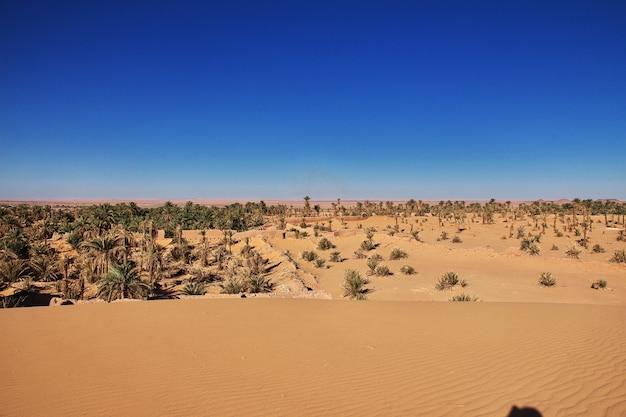 Dunas na cidade abandonada timimun no deserto do saara, argélia