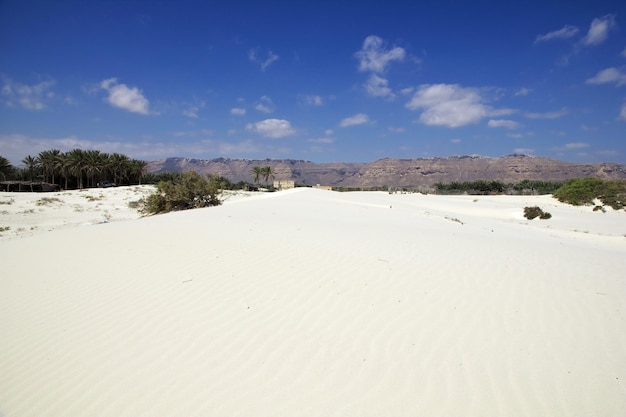 Dunas na costa do Oceano Índico Ilha de Socotra Yemen