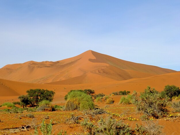 Dunas no deserto do namibe, sossusvlei, namíbia