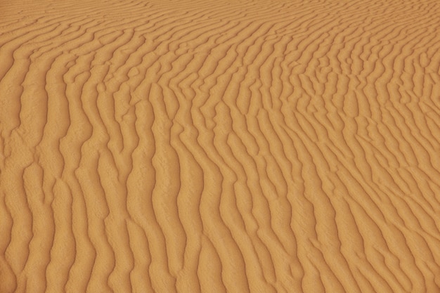 Dunas no deserto do saara, no coração da áfrica