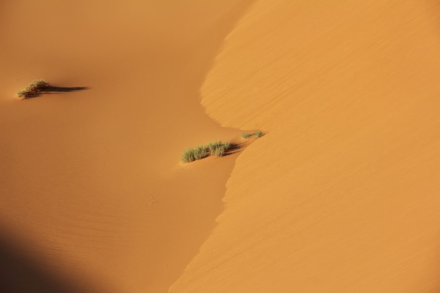 Dunas no deserto do Saara, no coração da África