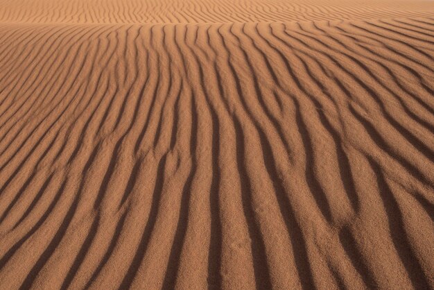 Dunas no deserto sob a luz do sol e um céu azul no Saara, Marrocos, África