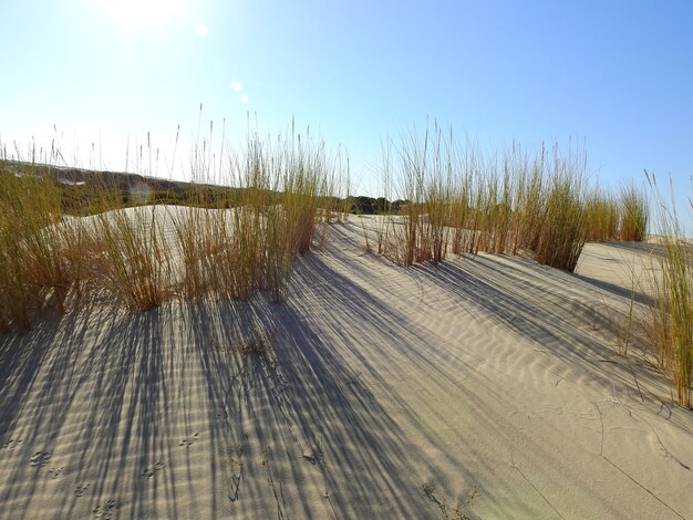 Dunas protegidas de Andalucía un dia de verano