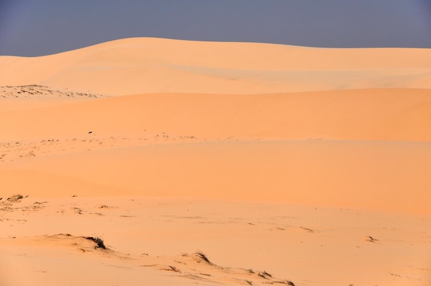 Las dunas de San en el desierto