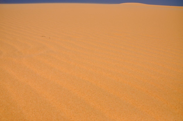 Las dunas de San en el desierto