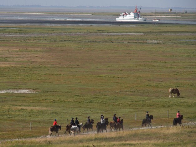 Foto las dunas de spiekeroog