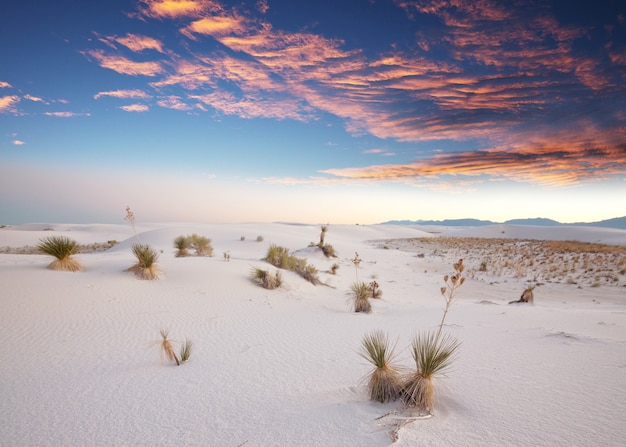 Dunas de White Sands en Nuevo México, EE. UU.