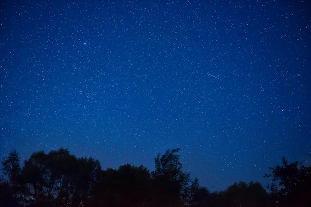 Dunkelblauer Nachthimmel im Wald mit hellen Sternen als Weltraumhintergrund