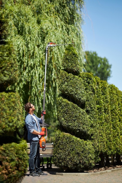 Dunkelhaariger Gärtner in einem Hemd, der einen elektrischen Heckentrimmer verwendet, um einen Nadelbaum im Freien zu formen