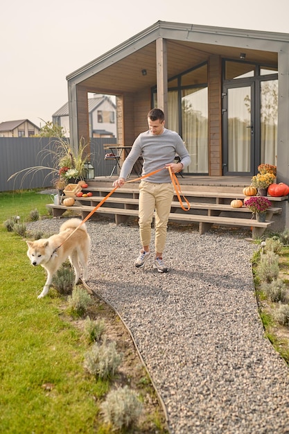 Dunkelhaariger junger Mann, der seinen niedlichen gehorsamen Shiba Inu während des Spaziergangs an der Leine führt