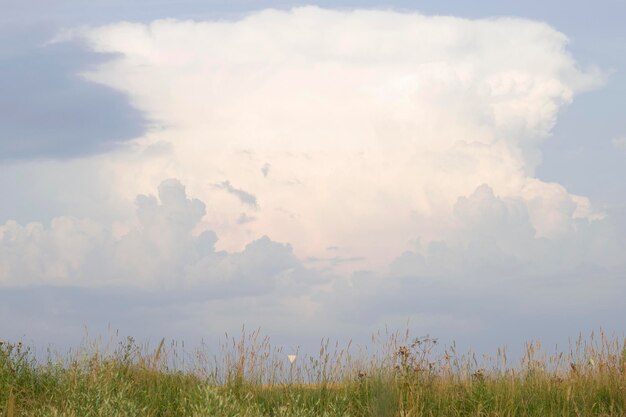 dunkle Abendwolken über der Sommerwiese