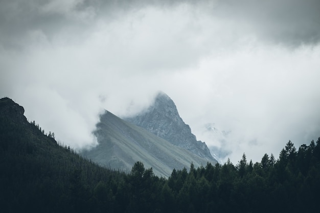 Dunkle atmosphärische Landschaft mit hohem felsigem Berggipfel unter großen niedrigen Wolken. Dunkle Waldsilhouette auf dem Hintergrund des Felsens im grauen bewölkten Himmel. Düsterer Blick auf den dunklen Berggipfel bei bewölktem Wetter.