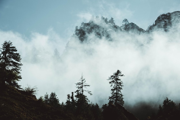 Dunkle Nebelwald-Silhouette im Rara-Nationalpark, Mugu Nepal