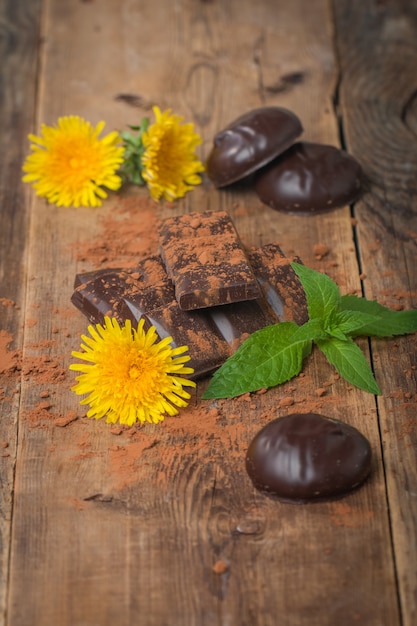 Dunkle Schokolade mit Minzblatt