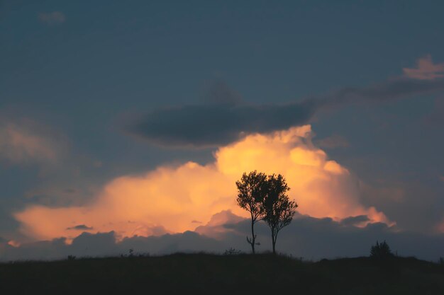 Dunkle Silhouette von Bäumen und Bergen vor dem Hintergrund eines Sonnenuntergangs mit orangefarbenen Wolken