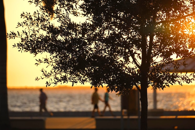 Dunkle Silhouette von Menschen, die bei Sonnenuntergang unter Alkovendach am Meeresufer im öffentlichen Park ruhen