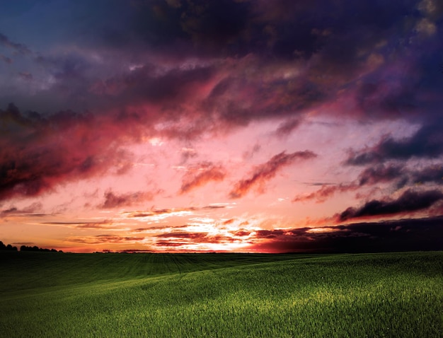 Dunkle Wolken über Feld mit Gras